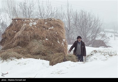 طبیعت برفی روستاهای بخش انزل ارومیه