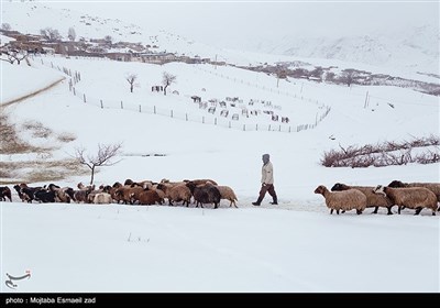 طبیعت برفی روستاهای بخش انزل ارومیه