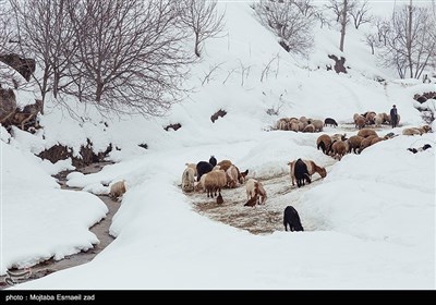 طبیعت برفی روستاهای بخش انزل ارومیه