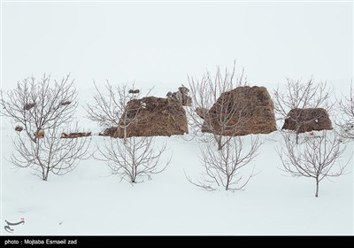 طبیعت برفی روستاهای بخش انزل ارومیه