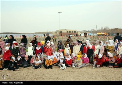 پویش سراسری درختکاری &#171;درخت،_سایه_زندگی&#187;