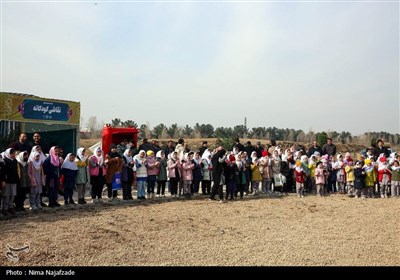 پویش سراسری درختکاری &#171;درخت،_سایه_زندگی&#187;