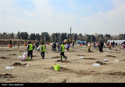 پویش سراسری درختکاری &#171;درخت،_سایه_زندگی&#187;