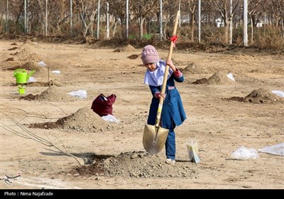 پویش سراسری درختکاری &#171;درخت،_سایه_زندگی&#187;