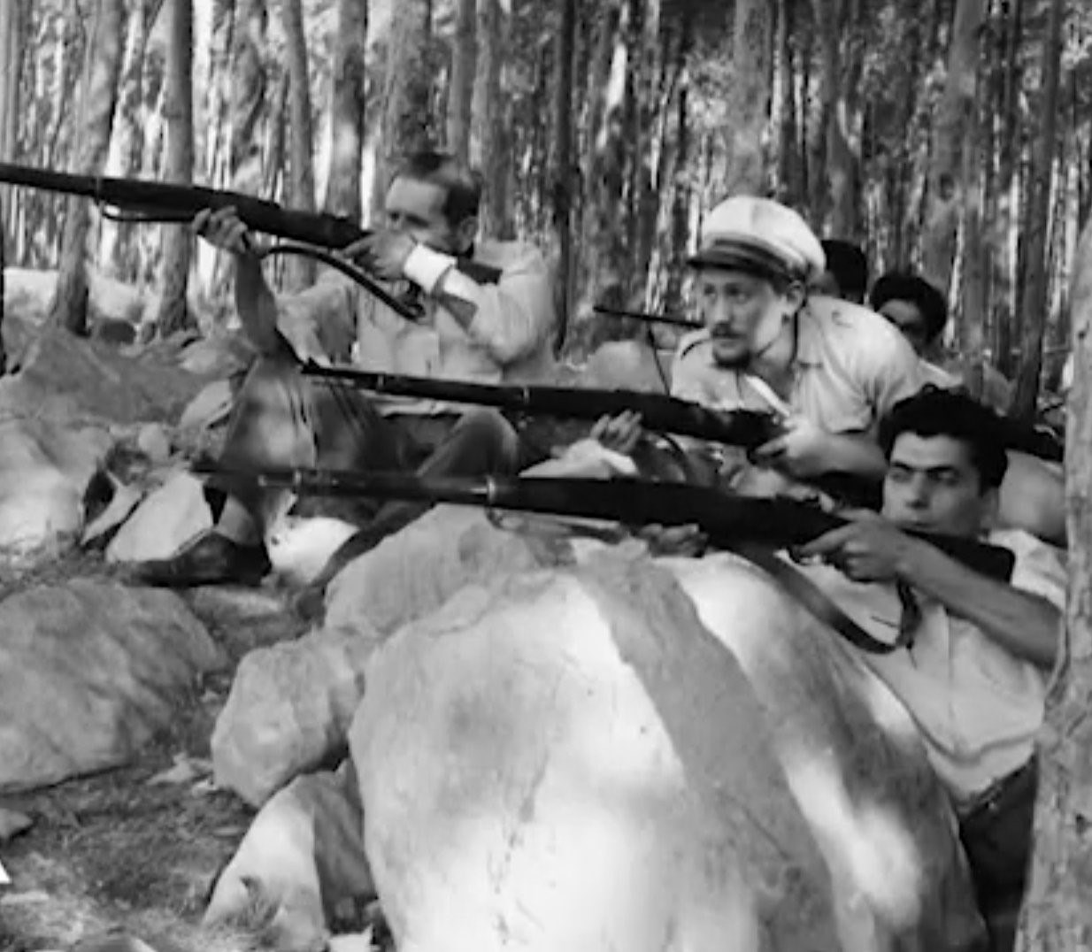 لبنان،جنگ،داخلي،اسرائيل،قسمت،ارتش،حزب،افراطي،–،راست،فلسطيني، ...