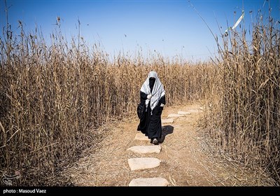 سرزمین راهیان نور / اروند کنار