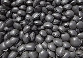 صادرات نخستین محموله بریکت آهن اسفنجی از هرمزگان به ازبکستان