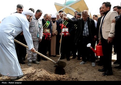 کاشت نهال توسط خادمیاران رضوی در جوار شهدای گمنام