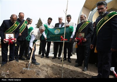 کاشت نهال توسط خادمیاران رضوی در جوار شهدای گمنام