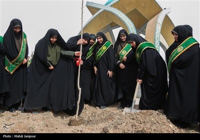 کاشت نهال توسط خادمیاران رضوی در جوار شهدای گمنام