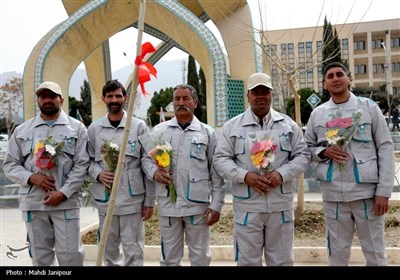 کاشت نهال توسط خادمیاران رضوی در جوار شهدای گمنام