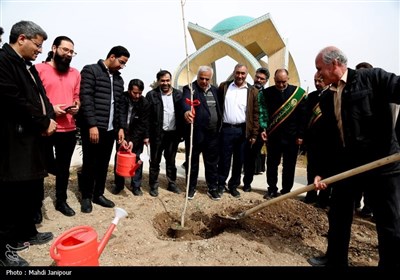 کاشت نهال توسط خادمیاران رضوی در جوار شهدای گمنام