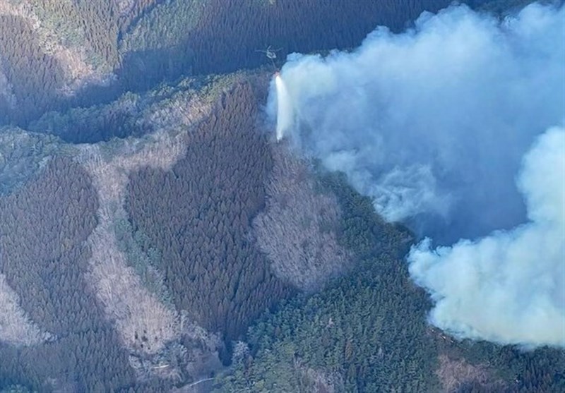 Japan’s Worst Wildfire in Half A Century Spreads