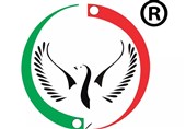 انتصاب معاون فرهنگی هنری خانه سرباز صلح ایران