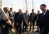 کاشت نهال به یاد امیرمحمدخالقی