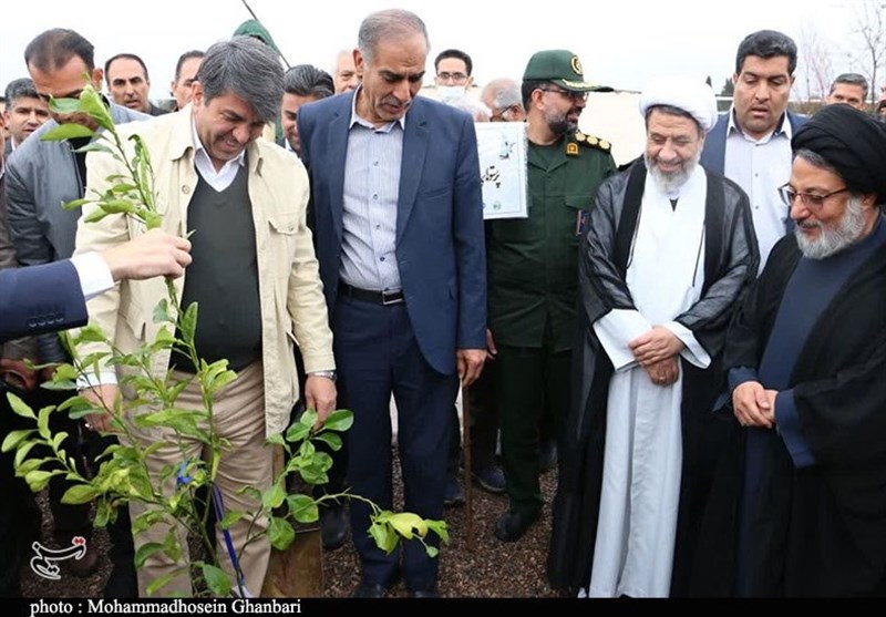 استان کرمان , روز درختکاری , 