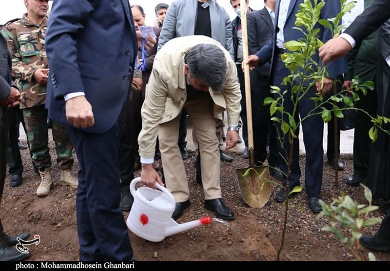 استان کرمان , روز درختکاری , 