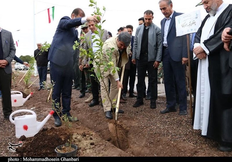 استان کرمان , روز درختکاری , 