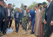 کاشت 12 میلیون درخت در استان بوشهر