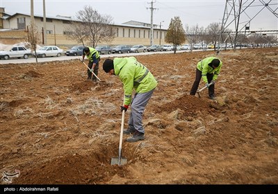مراسم درختکاری پویش جان ایران - همدان