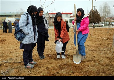 مراسم درختکاری پویش جان ایران - همدان