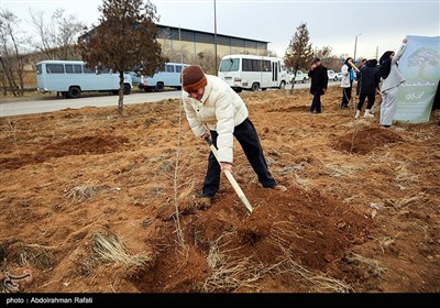 مراسم درختکاری پویش جان ایران - همدان