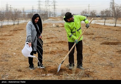 مراسم درختکاری پویش جان ایران - همدان