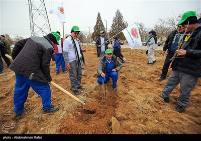 مراسم درختکاری پویش جان ایران - همدان
