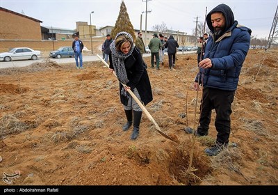 مراسم درختکاری پویش جان ایران - همدان