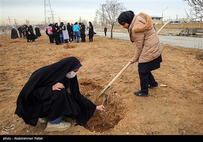 مراسم درختکاری پویش جان ایران - همدان