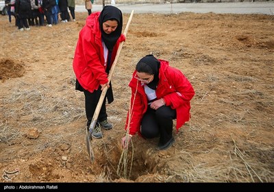 مراسم درختکاری پویش جان ایران - همدان