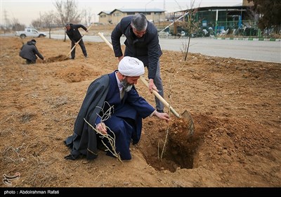 مراسم درختکاری پویش جان ایران - همدان