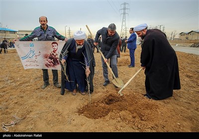 مراسم درختکاری پویش جان ایران - همدان