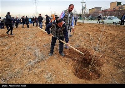 مراسم درختکاری پویش جان ایران - همدان