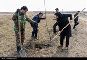 مراسم روز درختکاری پویش جان ایران در رودسر