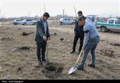 مراسم روز درختکاری پویش جان ایران در رودسر