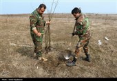 مراسم روز درختکاری پویش جان ایران در رودسر