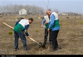 مراسم روز درختکاری پویش جان ایران در رودسر