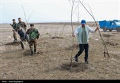 مراسم روز درختکاری پویش جان ایران در رودسر