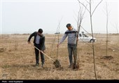 مراسم روز درختکاری پویش جان ایران در رودسر