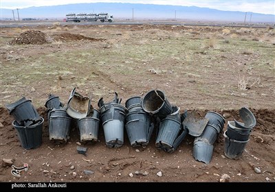 روز درختکاری در کرمان