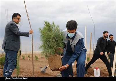 روز درختکاری در کرمان