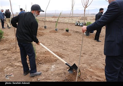 روز درختکاری در کرمان