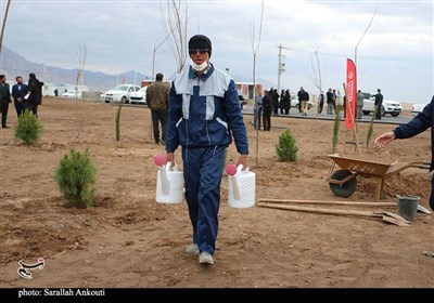 روز درختکاری در کرمان