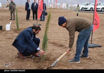 روز درختکاری در کرمان