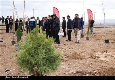 روز درختکاری در کرمان