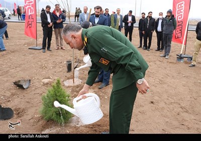 روز درختکاری در کرمان