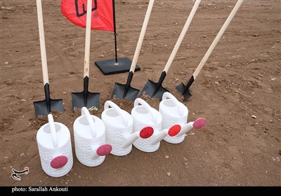 روز درختکاری در کرمان