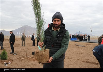 روز درختکاری در کرمان
