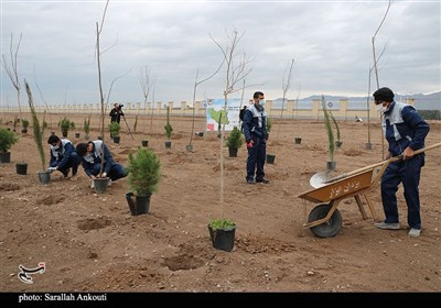 روز درختکاری در کرمان